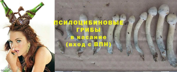 хмурый Михайлов